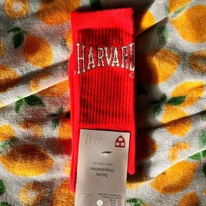 H&M Harvard Socks